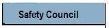 Safety Councils